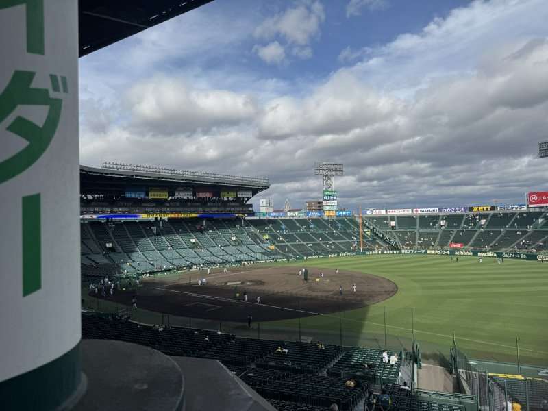 柱の横のアイビーシートからの見え方